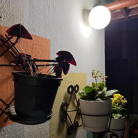 Garden Old Town Appartement